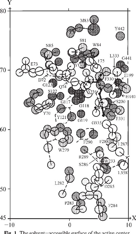 Figure From Comparative And Ontogenic Biochemistry Cholinesterase