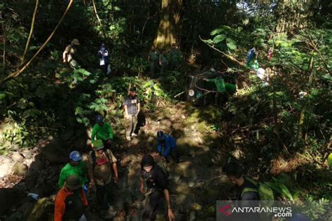 Macan Tutul Dilepasliarkan Di Gunung Sawal Kabupaten Ciamis Antara News