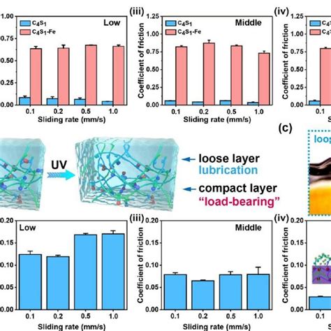 A Lubrication Property Of Cs And Cs Fe Hydrogel I Schematic