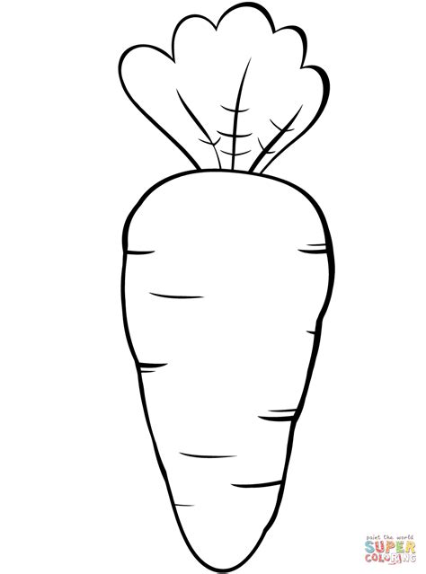 Carrot Drawing - ClipArt Best