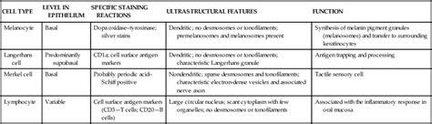 12: Oral Mucosa | Pocket Dentistry