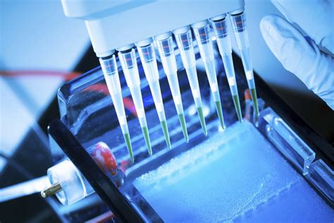 Agarose Gel Electrophoresis For Dna Howbiotech