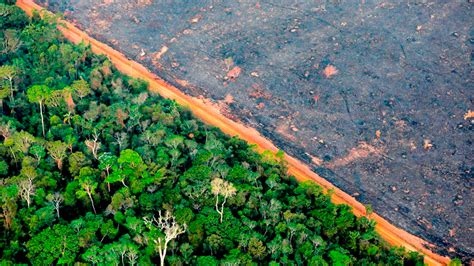 Entenda tudo sobre a questão ambiental Blog do Portal Educação