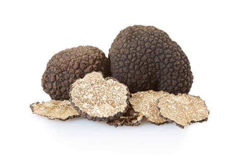 Tartufo, presentato al Crea il dizionario internazionale in cinque lingue
