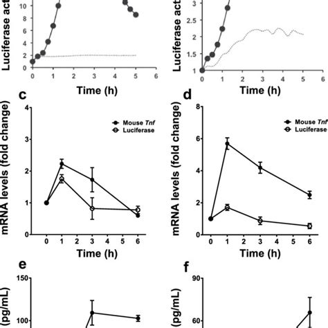 Lps Induced Responses Of Various Ex Vivo Primary Cell Cultures Derived