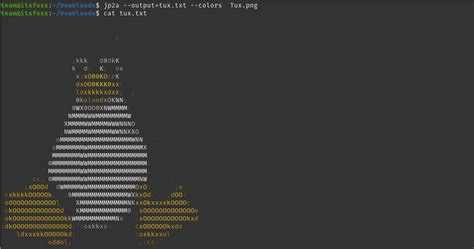 Convert Images Into Ascii Art In The Linux Terminal Linuxfordevices ...