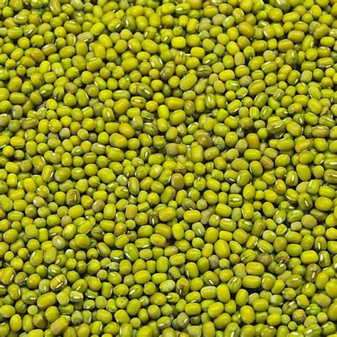 Green Mung Beans