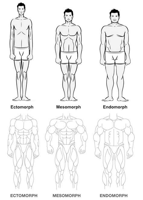 1000+ images about Body types on Pinterest