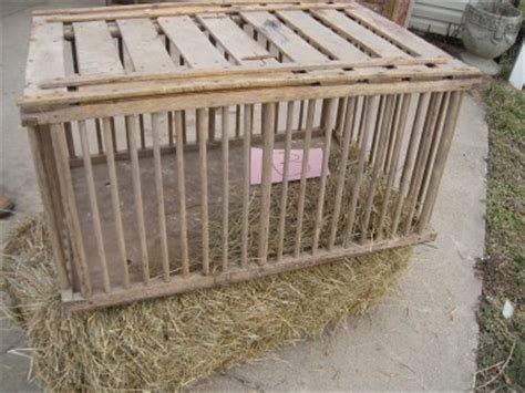 Antique Wooden Turkey Crate / Chicken Crate | eBay