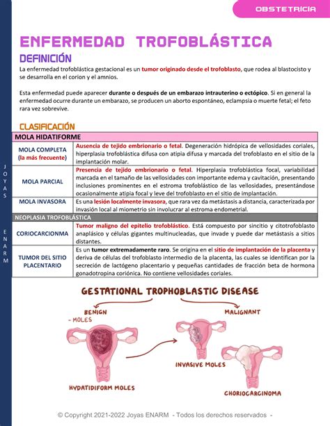 Enfermedad Trofobl Stica Gestacional Mola Parcial Completa