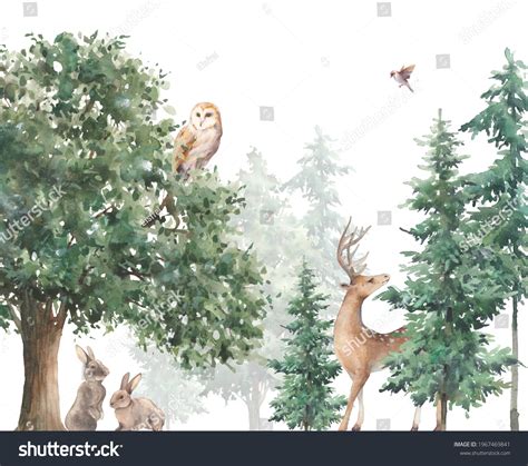 17,114 Evergreen forest animals Images, Stock Photos & Vectors ...