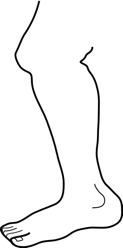 Leg B W Clipart I2clipart Royalty Free Public Domain Clipart