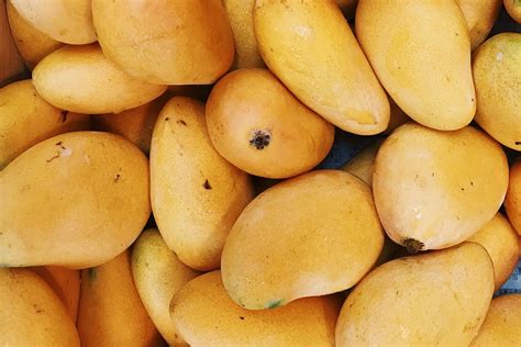 Qué significan las manchas negras que le salen al mango y cómo