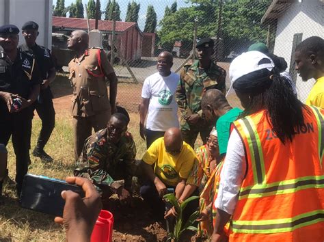 Seventy Five Per Cent Of Green Ghana Trees In Volta Have Survived Dr