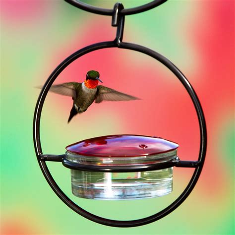 Couronne Co Hummingbird Feeder | Attract Beauty to Your Yard