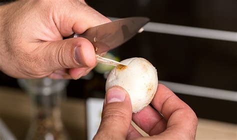 Comment Plucher Rapidement Et Correctement Les Champignons Pour Le