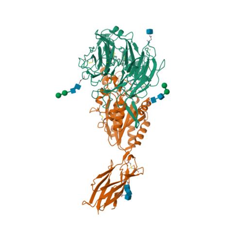 RCSB PDB 8T2U Cryo EM Structures Of Full Length Integrin