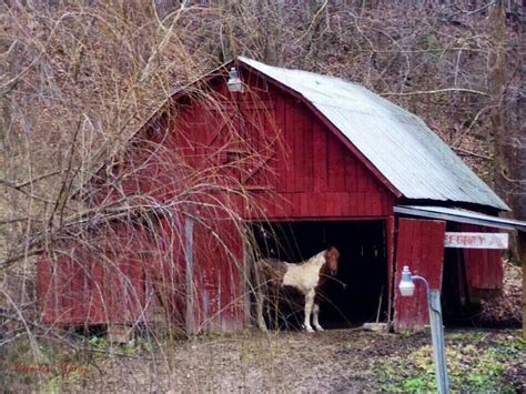 Floyd County Ky Floyd County I Love America My Old Kentucky Home