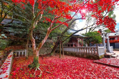 Dazaifu - The Ultimate Guide to Japan's Former Western Capital