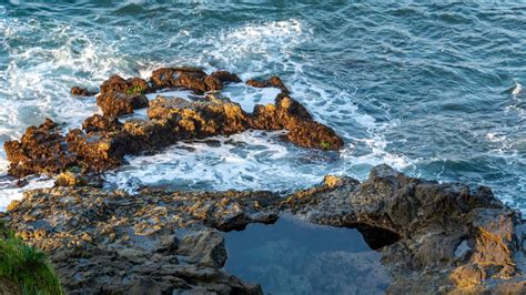 10 Beautiful Laguna Beach Tide Pools You Should Explore With Kids