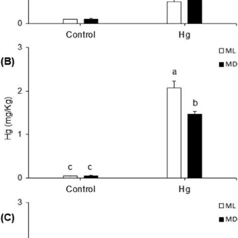 Hg Concentration Mg Kg In Liver A Gills B And Brain C Of Download Scientific Diagram