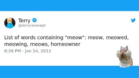 Funny Tweets About Cats Youtube