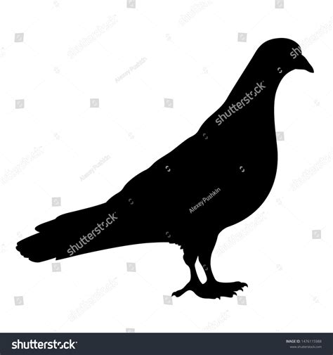 Pigeon Vector Silhouette Isolated On White Stock Vector (Royalty Free ...