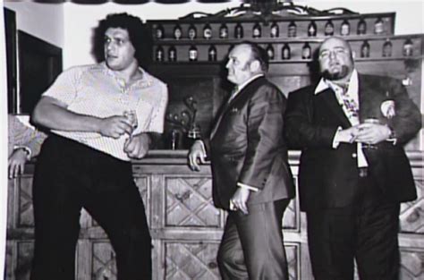 Top 15 Epic Real Life Andre The Giant Stories