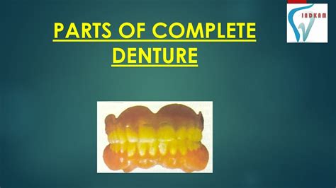 Components Of A Complete Denture English Youtube