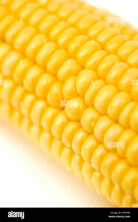 Corn on the cob Stock Photo - Alamy