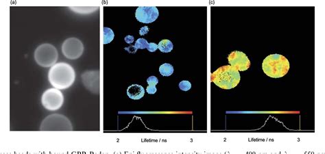 Figure 1 From A Fluorescence Lifetime Based Fibre Optic Glucose Sensor