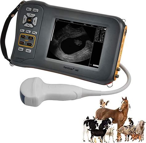 Veterinary Ultrasound Scanner Ultrasound Scanner For Veterinary