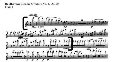 Beethoven Leonora overture 3 flute orchestra excerpts – Orchestra Excerpts