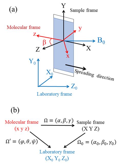 A Definition Of The Molecular Sample And Laboratory Frames B Sets Download Scientific