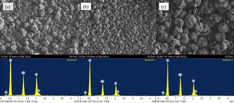 Frontiers Microwave Assisted Magnesium Phosphate Coating On AZ31