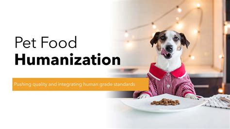 Pet Food Humanization 2022 Pushing Quality And Integrating Human