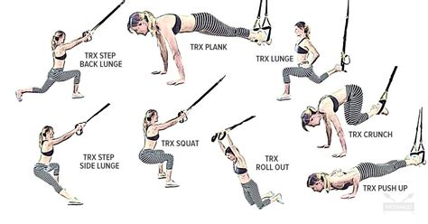 Beginner Trx Workout Blog Dandk