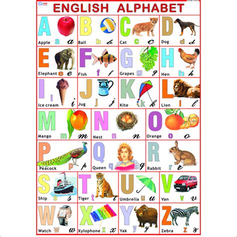 English Alphabet Chart Dimensions 70 X 100 Centimeter Cm At Best