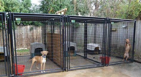 Multiple Dog Kennels Dog Breeder Setup Jaulas Para Perros Perros