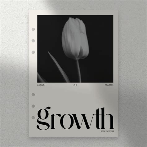 Growth Dashboard – Rosie Papeterie