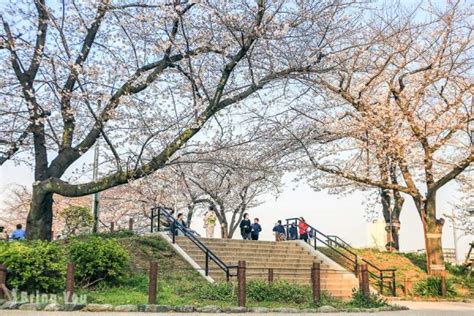 【东京赏樱景点】隅田公园樱花祭：隅田川畔拍摄晴空塔的经典樱花照 Bringyou