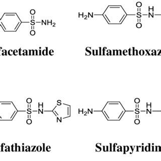 Some Pharmaceutically Active Sulfonamide Derivatives | Download Scientific Diagram