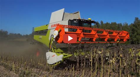 Der neue Claas Lexion Mähdrescher 2023 mit einem V770 Schneidwerk bei