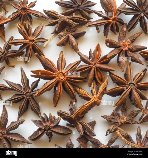 Star Anise Pods Stock Photo Alamy