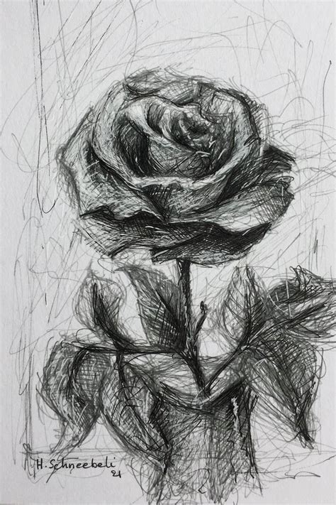 Drawings Of Roses In A Vase