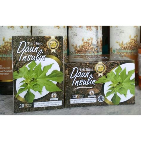 Jual Teh Herbal Daun Insulin Teh Celup Daun Insulin Obat Herbal Daun