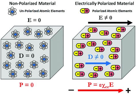 Example Of Induced Electric Dipole Moment And Electric Polarization