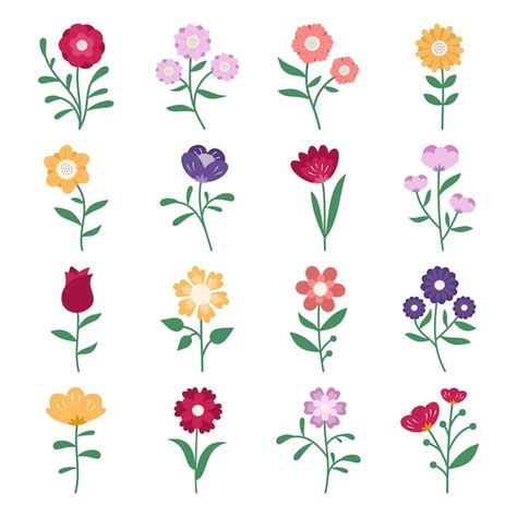 Premium Vector Set Of Flower Vector