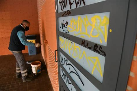 Fotos Los V Ndalos Se Ceban Con El Colegio Pablo Picasso De Valladolid