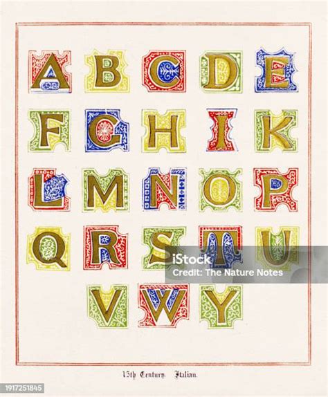 Medieval Alphabet Decorative Calligraphy Designs Stock Illustration - Download Image Now ...